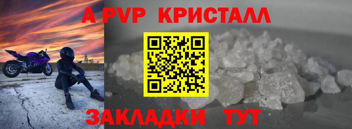 A PVP СК КРИС Гай