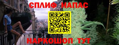 сатива Малгобек