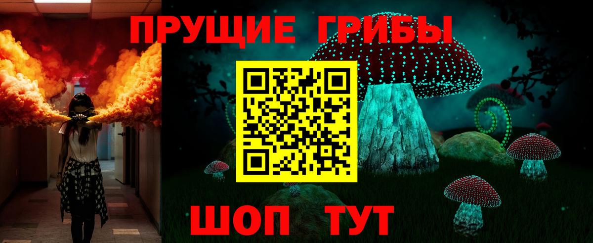 Гай  Псилоцибиновые грибы прущие грибы  Вход с VPN  Галлюциногенные грибы ЛСД 